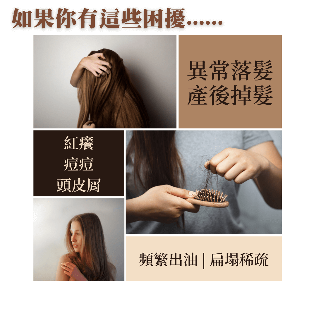 髮肌植萃護理課程